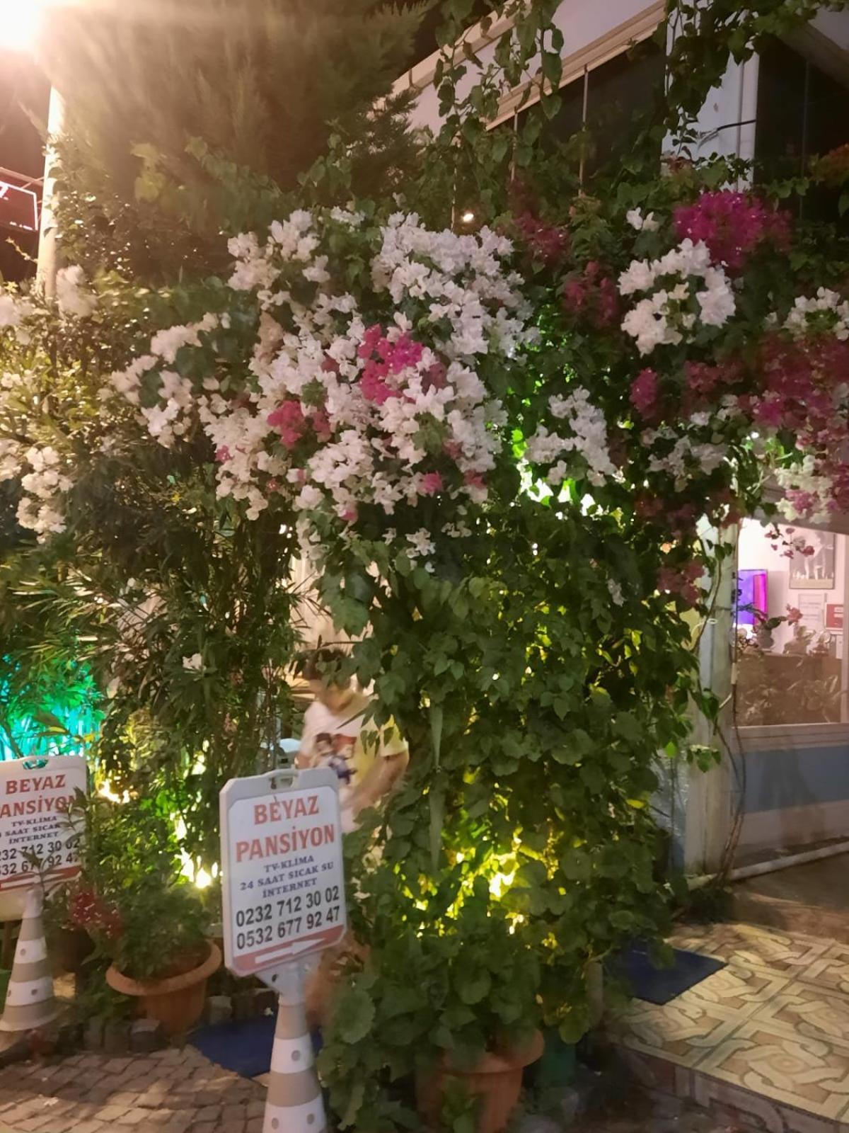 Beyaz Apart Pansiyon Çeşme Kültér fotó
